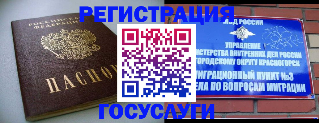 временная прописка в Шебекино